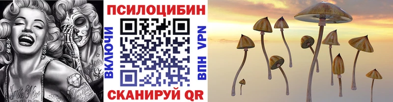 Галлюциногенные грибы ЛСД  гидра ссылки  Сланцы 